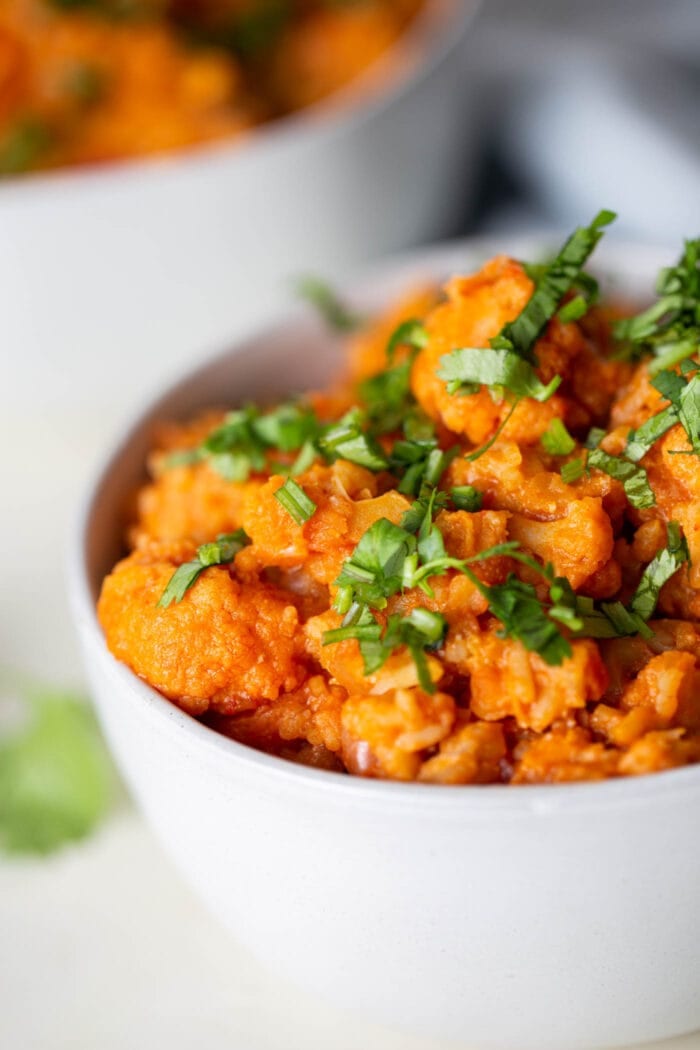 A close up of a white bowl of red lentil cauliflower curry topped with cilantro.