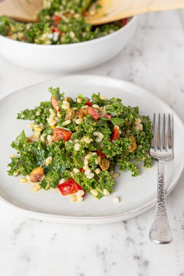 A plate of kale salad with bell peppers, pistachios and barley.