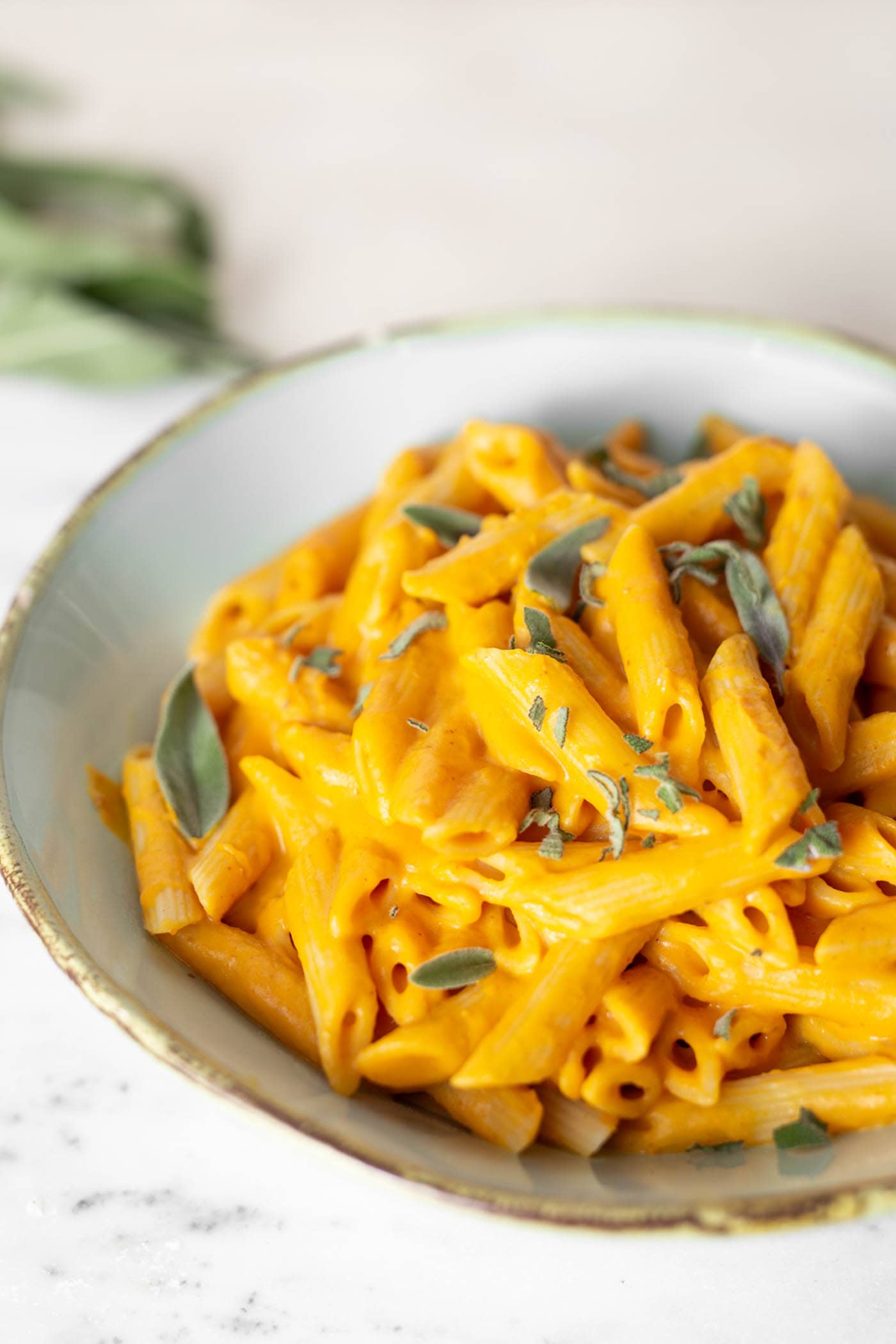 A small bowl of creamy vegan pumpkin penne pasta topped with bits of fresh sage..