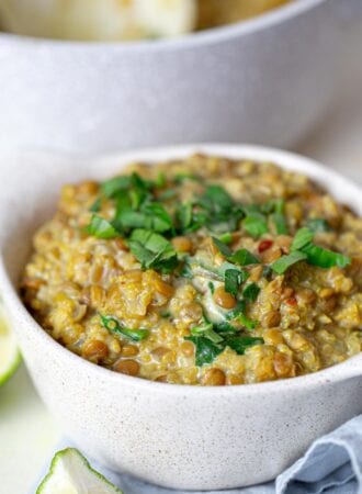 A bowl of vegan curried lentils with quinoa topped with chopped cilantro.