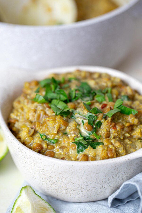 A bowl of vegan curried lentils with quinoa topped with chopped cilantro.