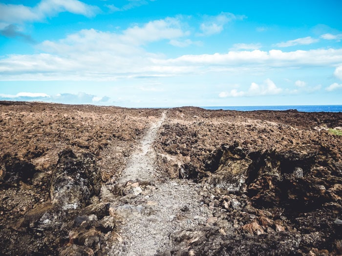 A rocky trail near the ocean in Hawaii.
