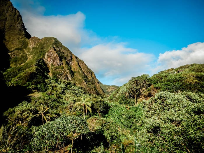 A mountain covered in jungles in Hawaii.