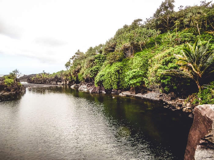 A beautiful lagoon set against a jungle in Hawaii.
