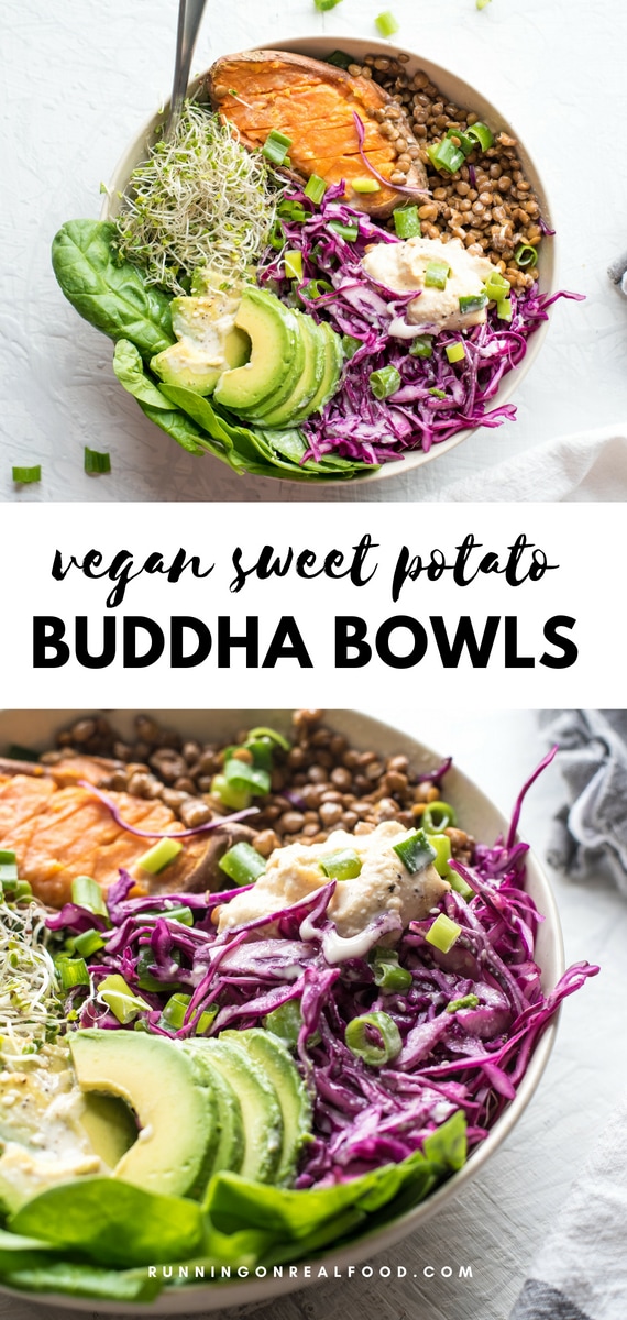 Avocado Lentil Sweet Potato Buddha Bowls