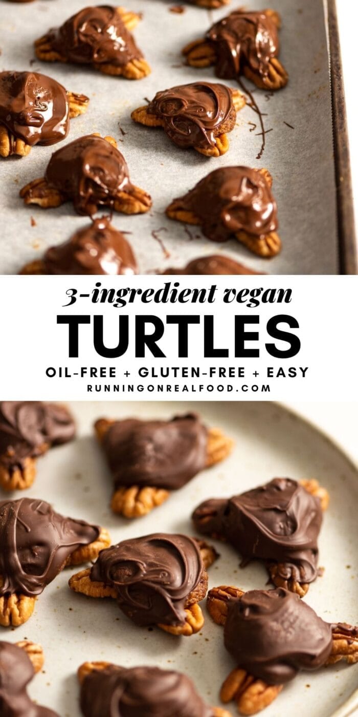 Pinterest graphic with an image and text for easy vegan turtles.