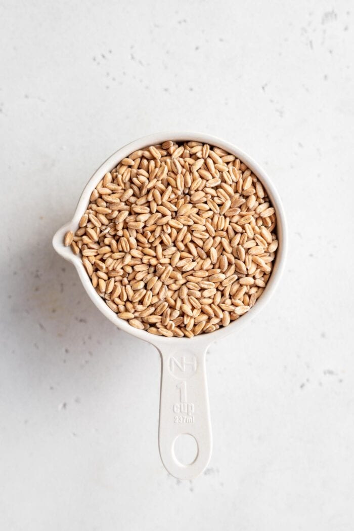 1 cup of dry uncooked farro in a measuring cup.