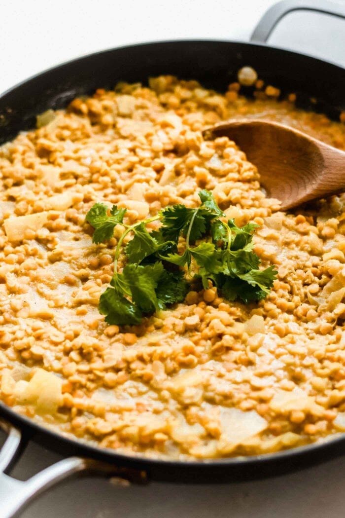 A large skillet of red lentil dahl, topped with fresh cilantro.