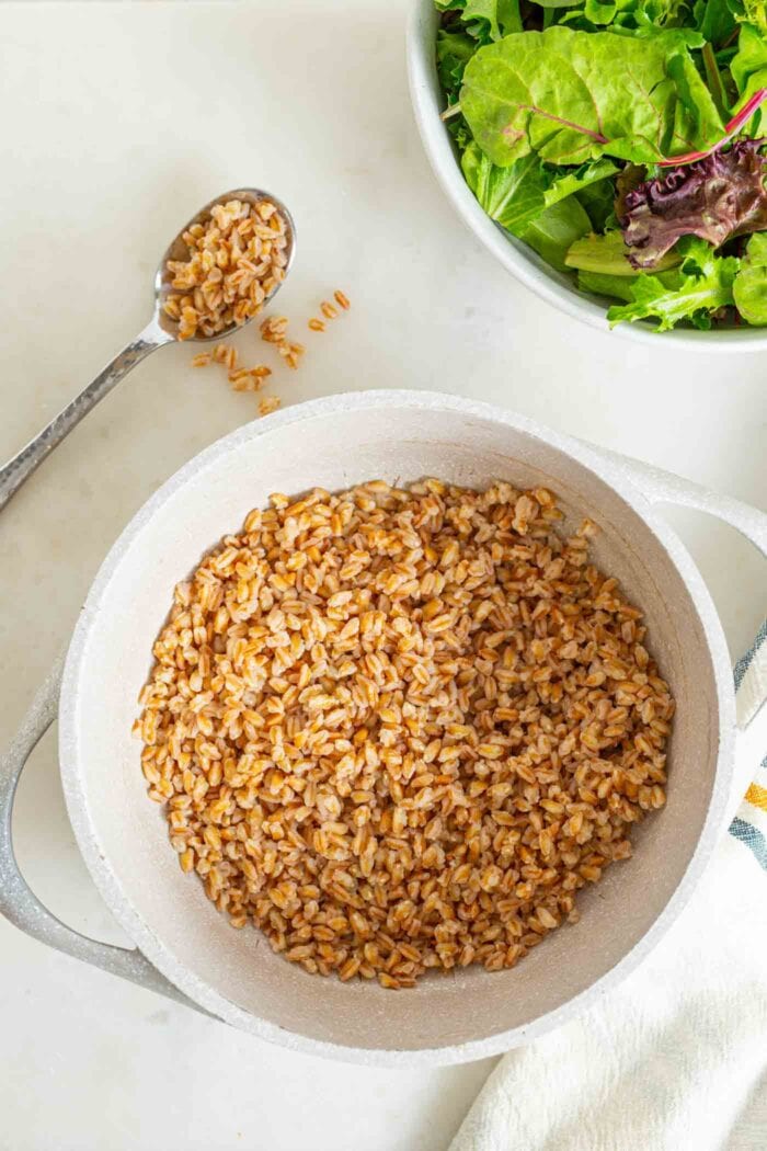 Cooked farro in a large pot.
