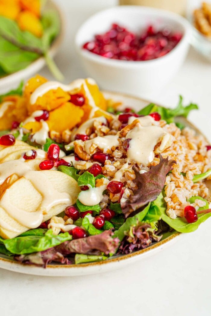 Close up of a colorful salad with pomegranate, apple and walnuts.
