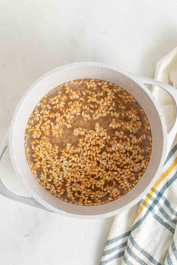 Farro grains and water in a large pot.
