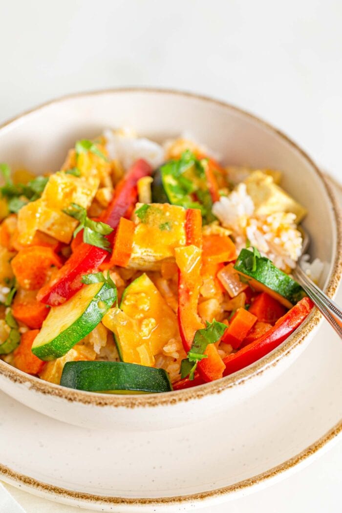 Close up of a bowl of vegetable tofu curry over rice.