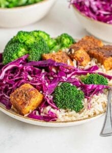 Colourful bowl of brown rice, baked tempeh cubes, broccoli and sliced cabbage.