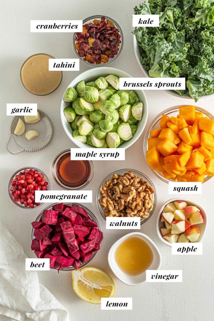 Various ingredients for in bowls for making a Fall salad, labelled with text overlay.