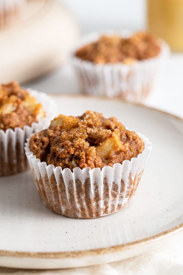 Two applesauce muffins on a plate. More muffins in background.