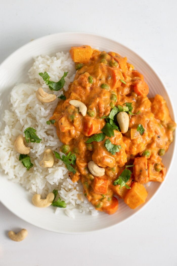 Overhead view of a bowl of korma and rice topped with cilantro and cashews.