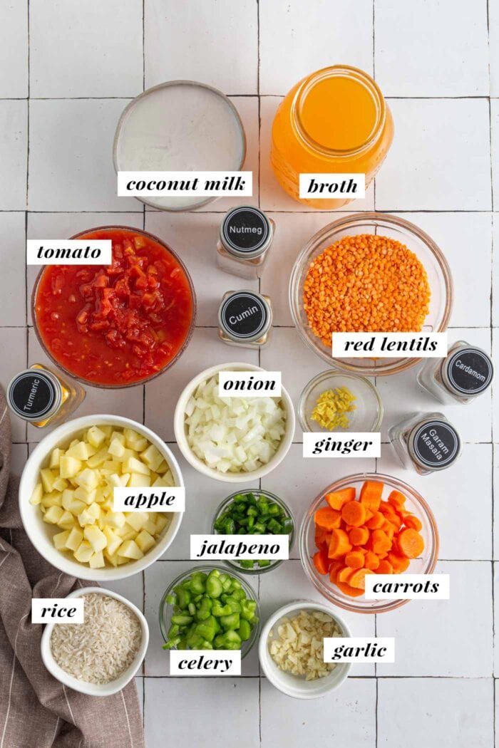 All of the ingredients needed for making a vegan mulligatawny soup recipe. Each ingredient is labelled with text.