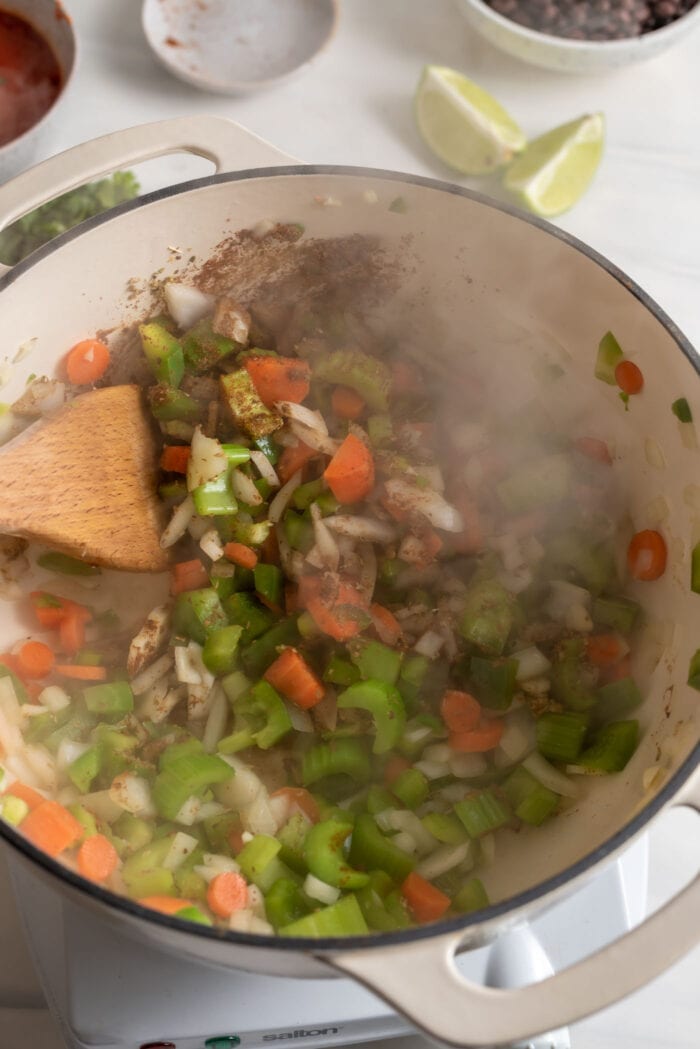 Stirring spices and herbs into a pot of chopped vegetables.