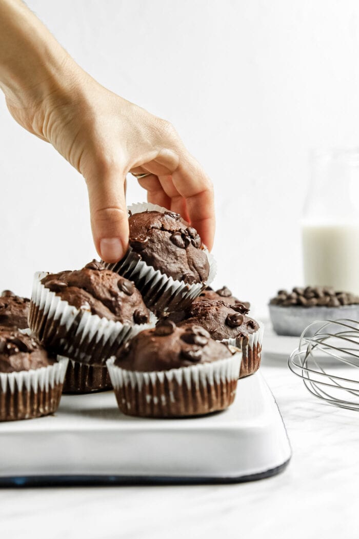 A hand lifting a chocolate chip muffin from a stack of muffins on a baking tray.
