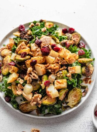 Overhead view of a colourful kale salad with brussels sprouts, cranberries and walnuts.