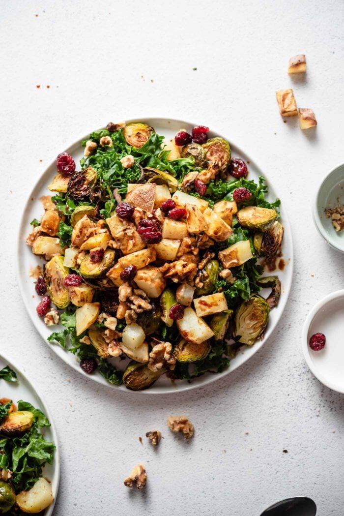 Overhead view of a colourful kale salad with brussels sprouts, cranberries and walnuts.