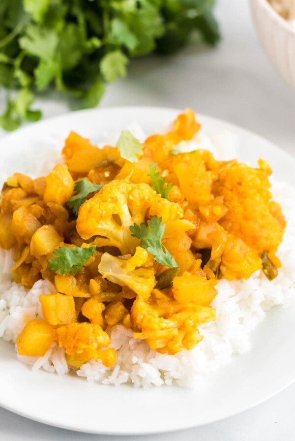 Plate of aloo gobi or curried potato and cauliflower served over a bed of jasmine rice and topped with cilantro.