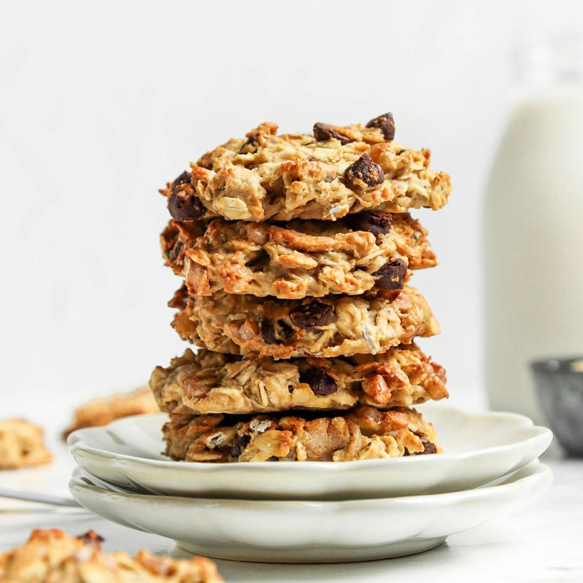 Vegan Oatmeal Breakfast Cookies