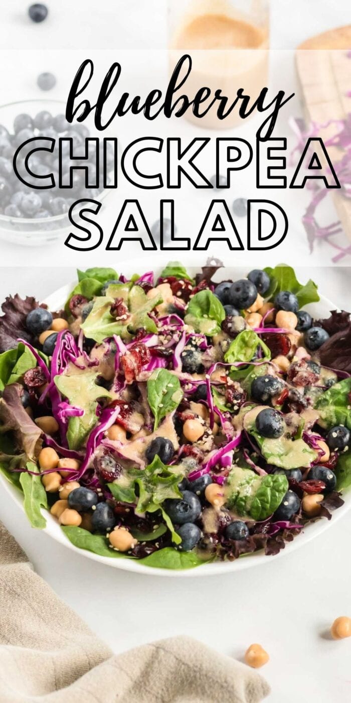 Pinterest graphic with an image and text for chickpea blueberry salad.
