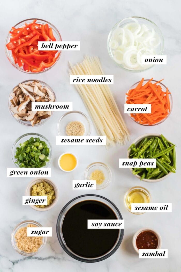 Lista visual de ingredientes necesarios para hacer lo mein vegano.