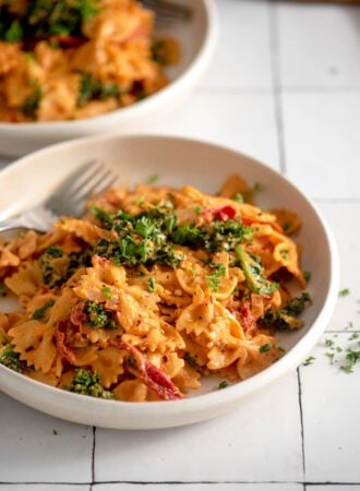 A bowl of creamy sun dried tomato pasta with kale.