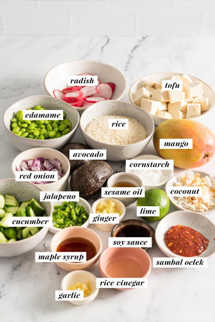 All the ingredients needed for making a mango avocado tofu rice bowl. Each ingredient is labelled with text.