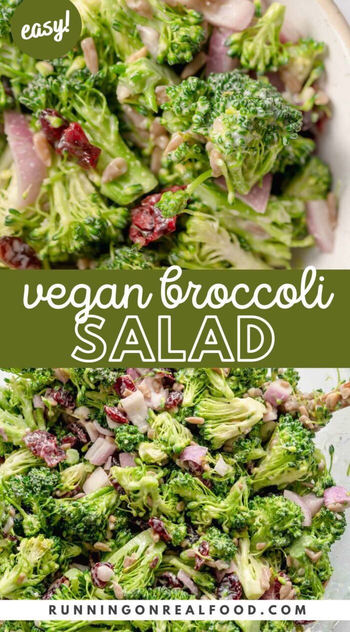 Two images of broccoli salad with cranberries with text reading "vegan broccoli salad".