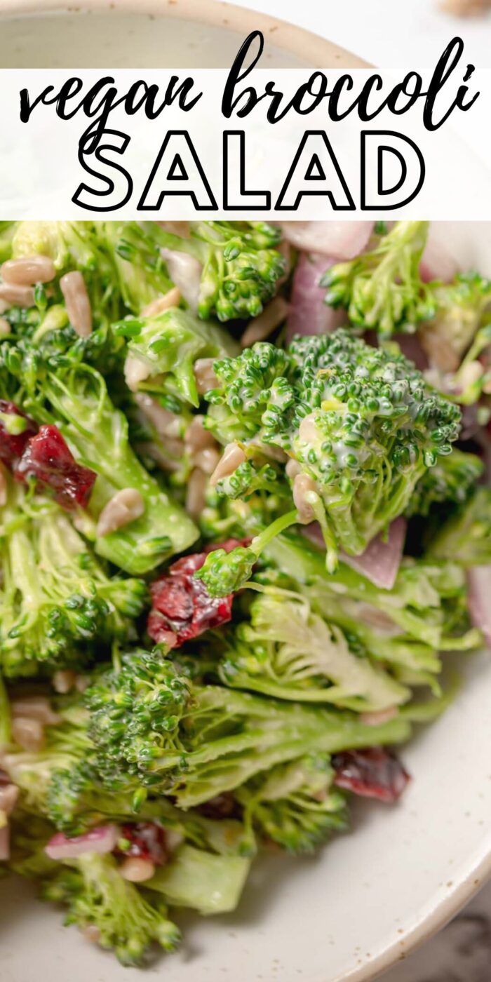 A close up image of broccoli salad with cranberries with text reading "vegan broccoli salad".