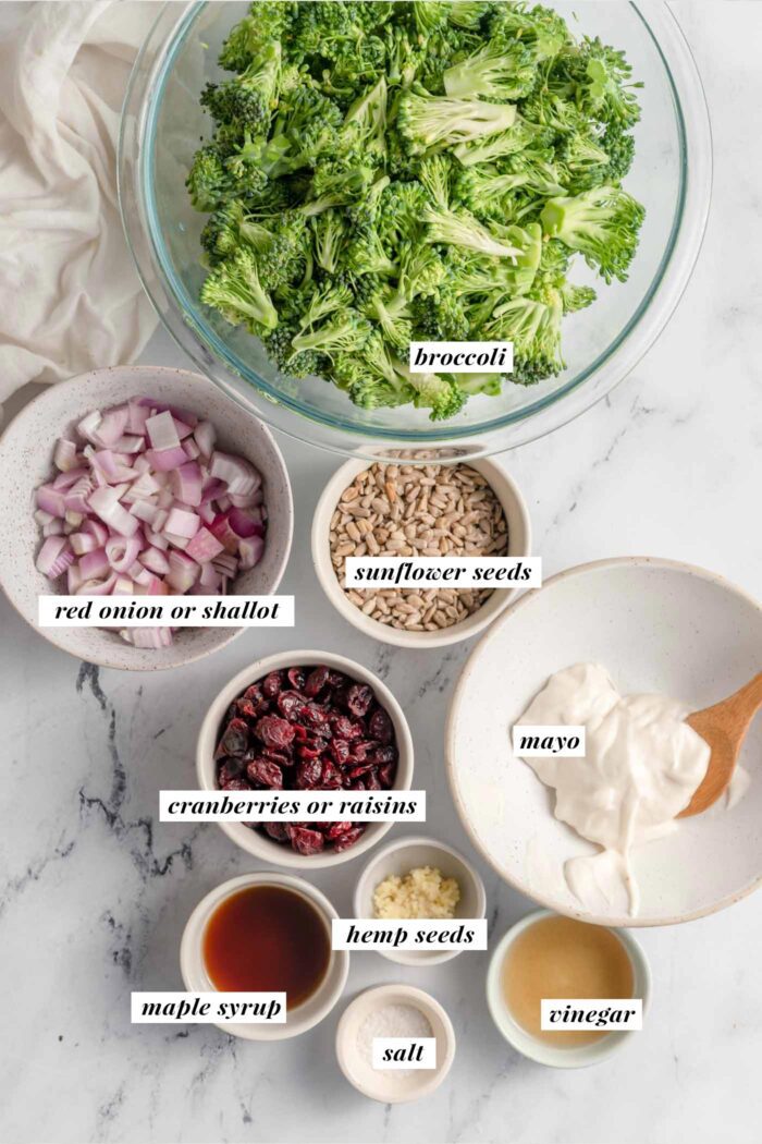 All the ingredients for a vegan broccoli salad recipe gathered in bowls and labelled with text.