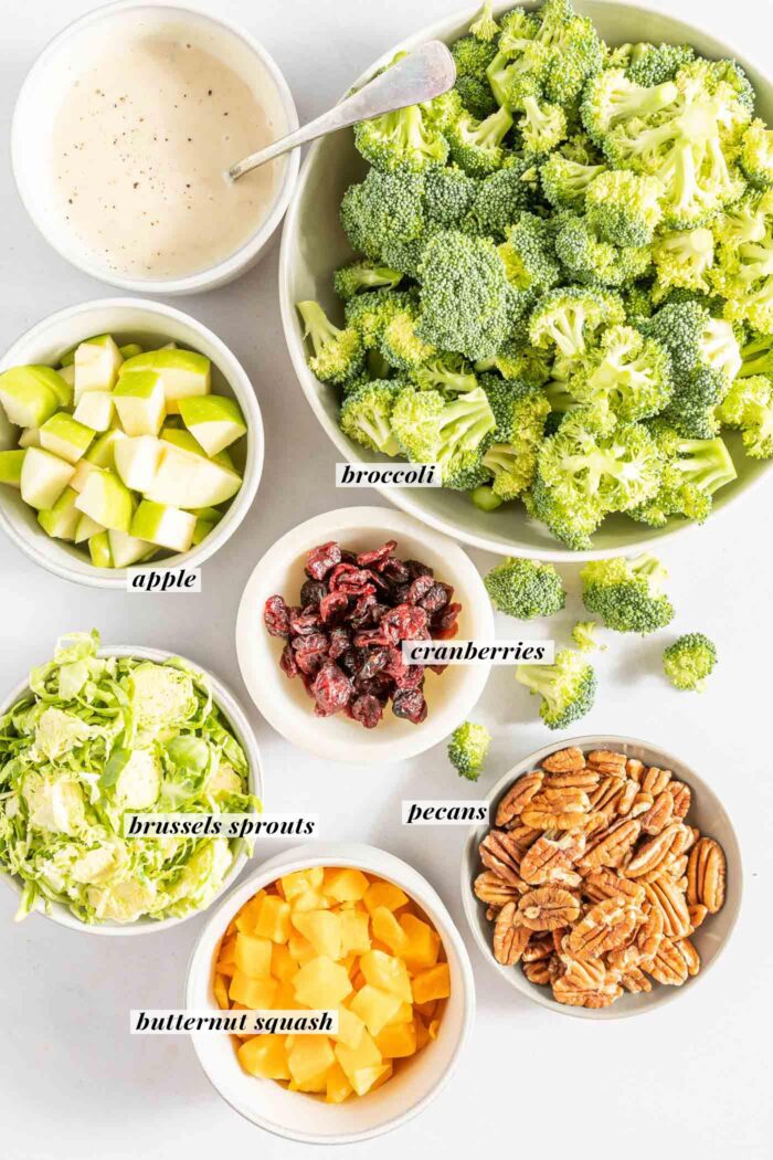 Diced apple, broccoli, pecans, butternut squash, shredded brussels sprouts and cranberries in bowls. Each ingredient for making this broccoli apple salad is labelled with text.