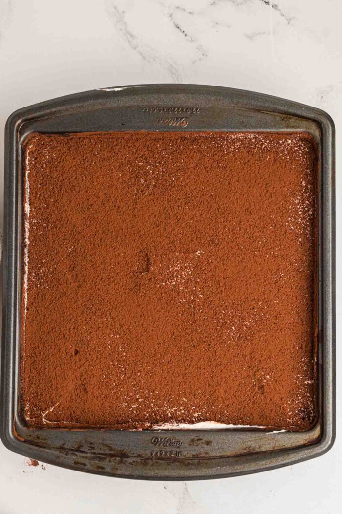 Overhead view of an Italian tiramisu dusted with cocoa powder in a square pan.