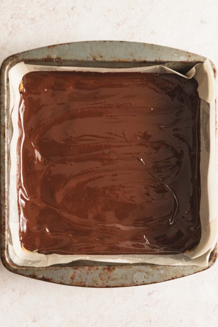 Overhead view of a pan of chocolate peanut butter bars. The chocolate layer on top is still melted and not yet firmed in the fridge.