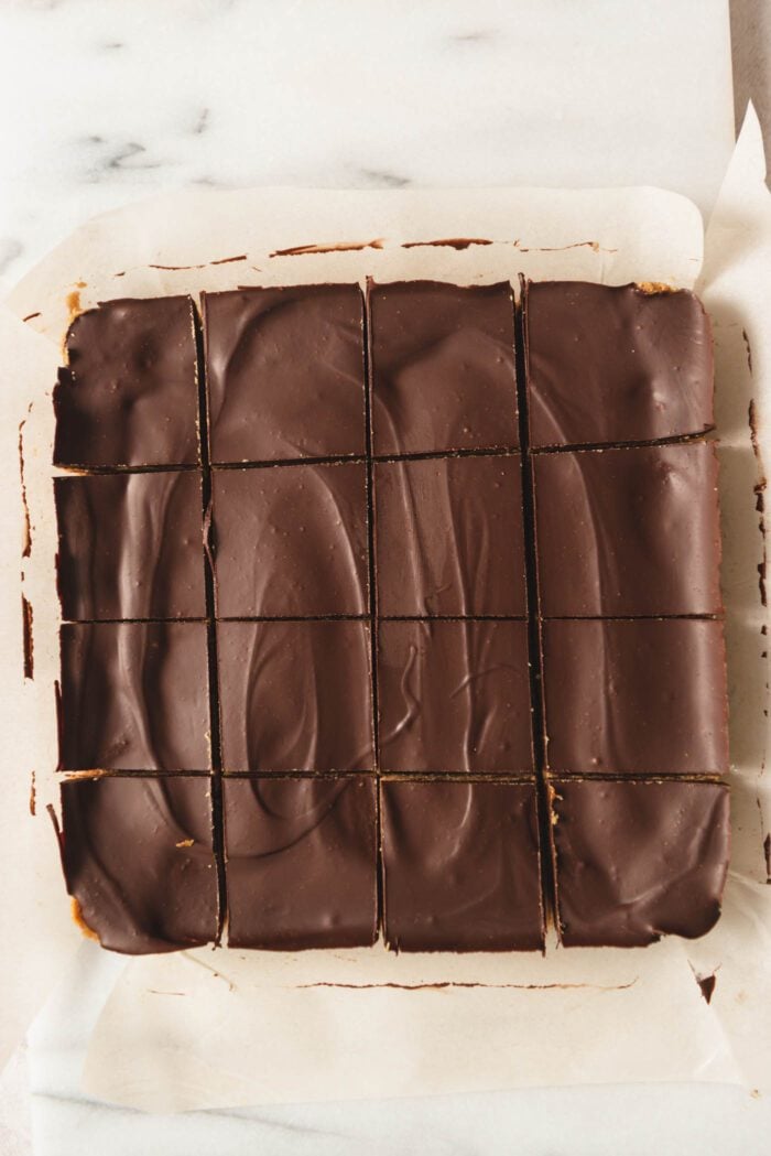 Overhead view of a pan of chocolate peanut butter bars cut into 16 square portions.