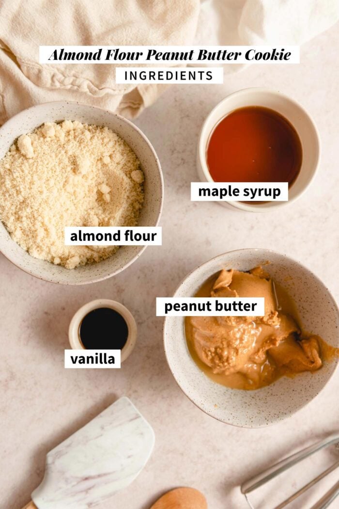 All of the ingredients needed for making an almond flour peanut butter cookie recipe. Each ingredient is labelled with text.