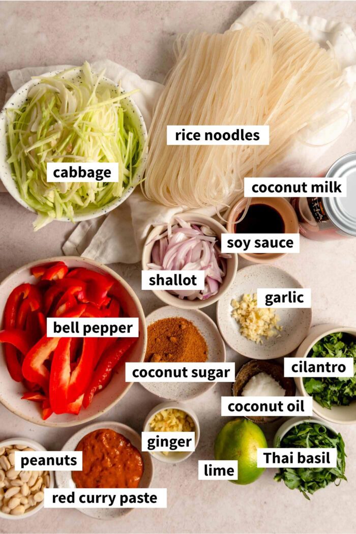 All the ingredients needed for making a Thai red curry noodle recipe. Each ingredient is labelled with text overlay.