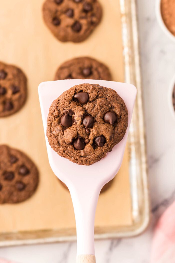 A chocolate cookie with chocolate chips on top on a white plastic spatula held over a tray of cookies.