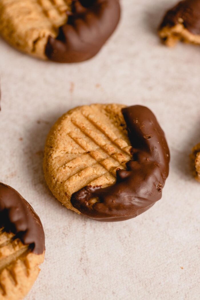 A peanut butter cookie with a crisscross pattern on top that's half coated in chocolate.