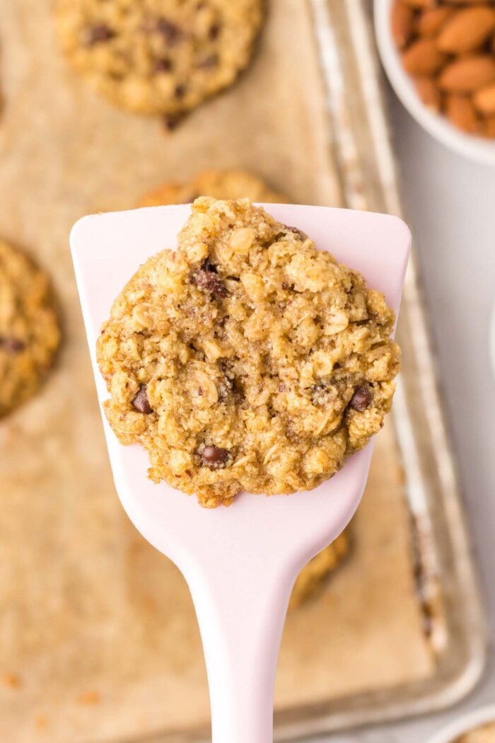 An almond flour oatmeal chocolate chip cookie on a spatula held over a tray of cookies.