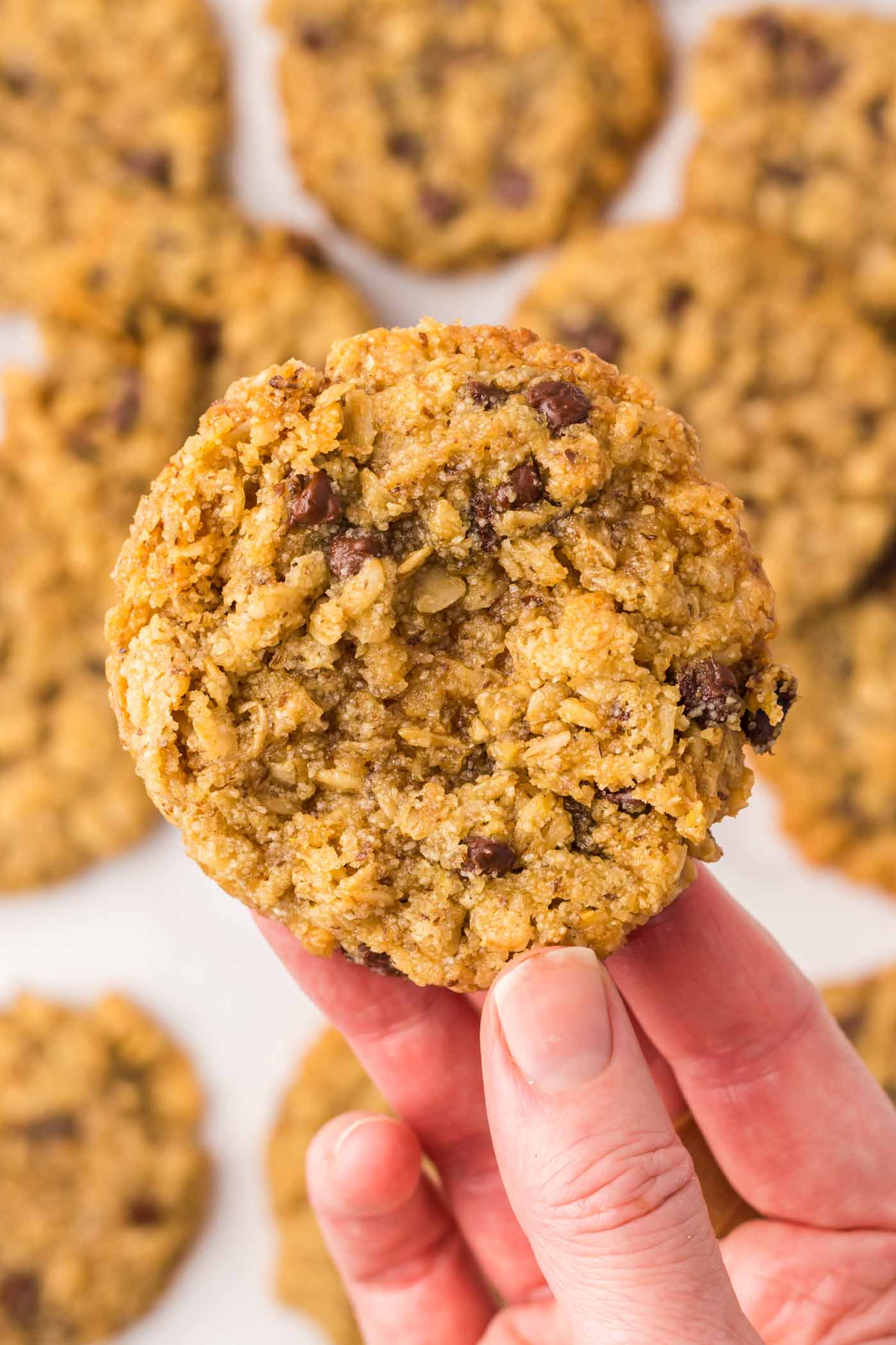 A hand holding up an oatmeal chocolate chip cookie over more cookies in the background.