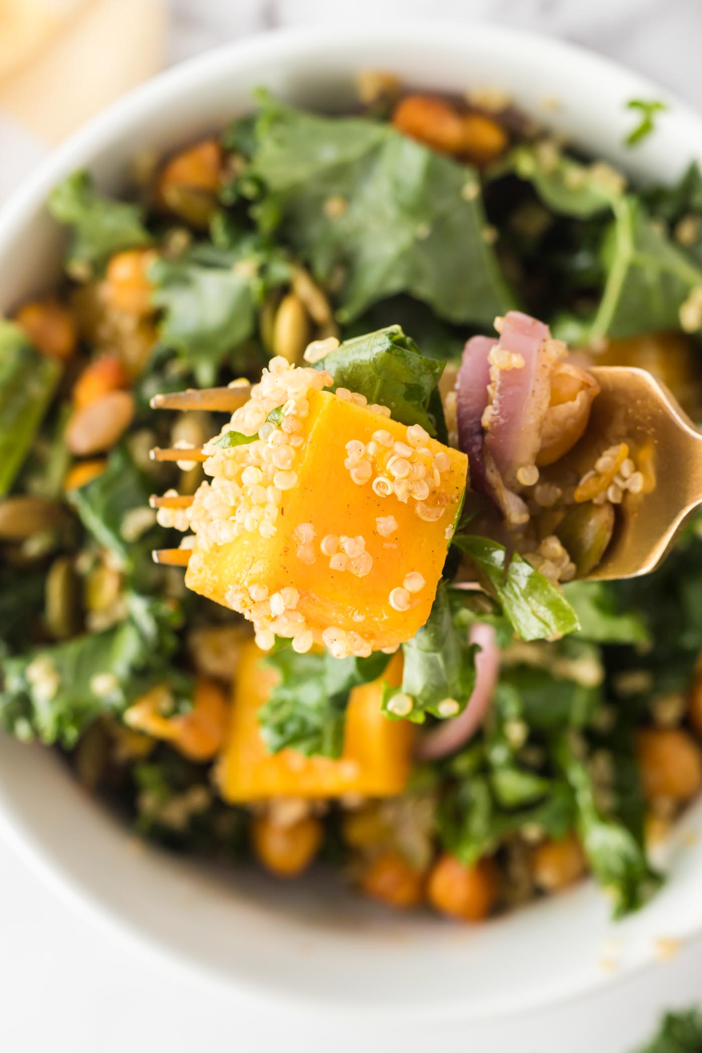 A cube of roasted butternut squash on a fork with some kale, red onion and quinoa.