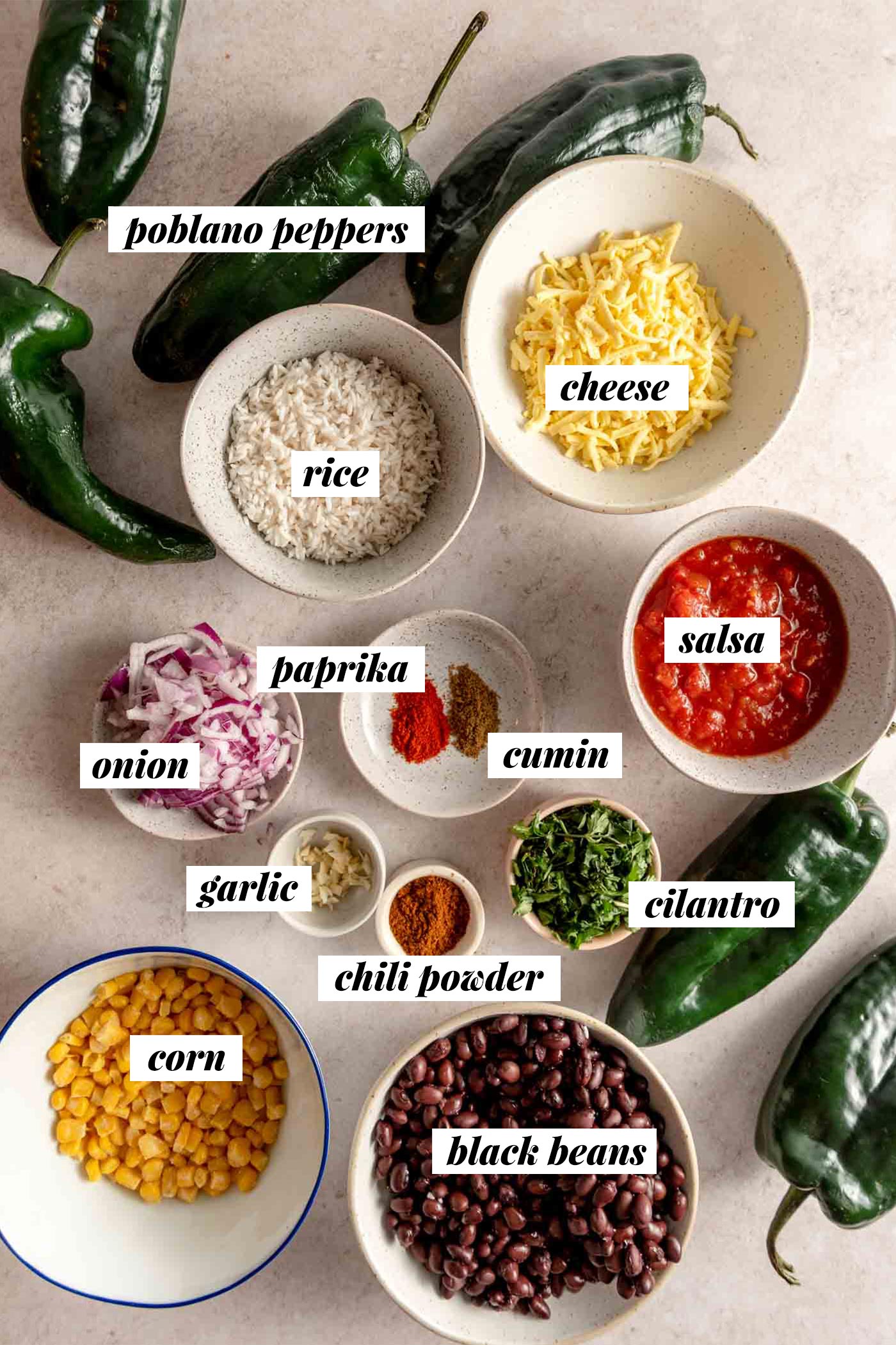 All of the ingredients needed for making vegan stuffed poblano pepper recipe. Each ingredient is labelled with text.