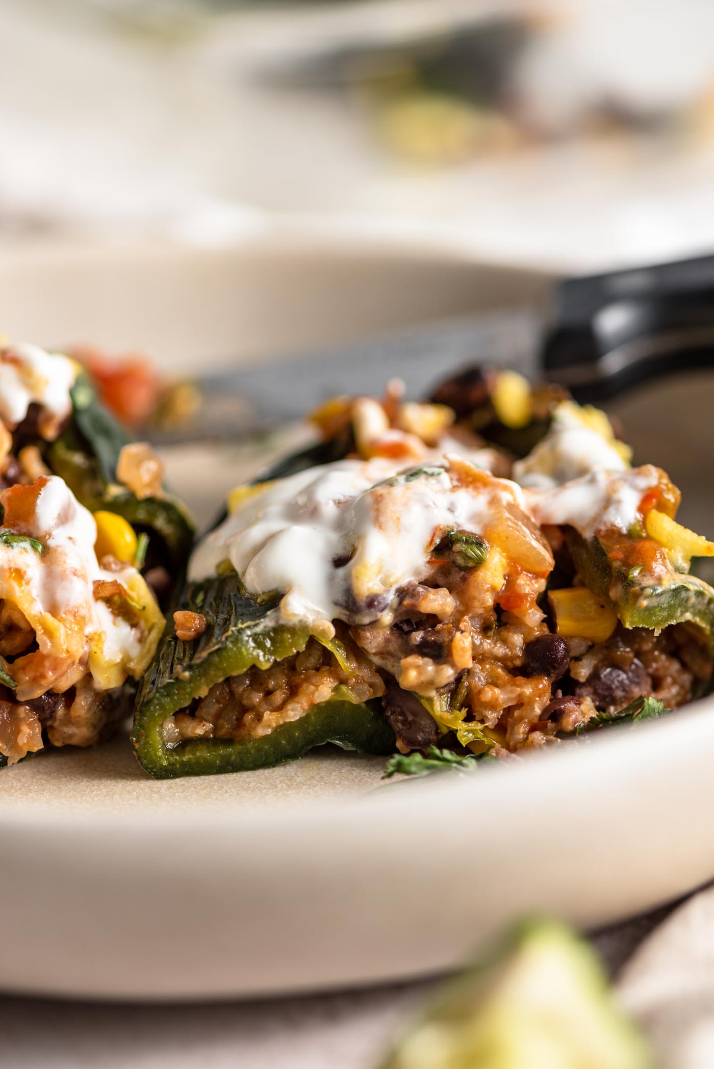 A rice and bean stuffed poblano pepper cut in half in a bowl.