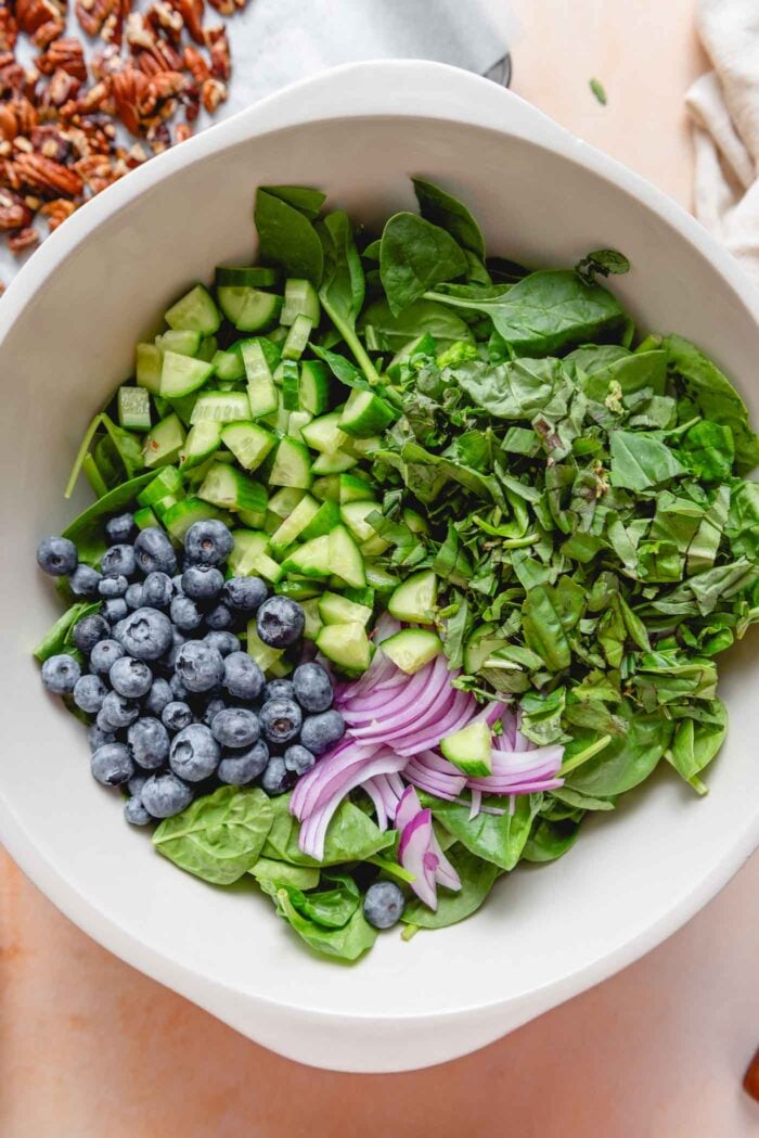Large bowl of spinach, blueberries, basil, cucumbers and red onion.