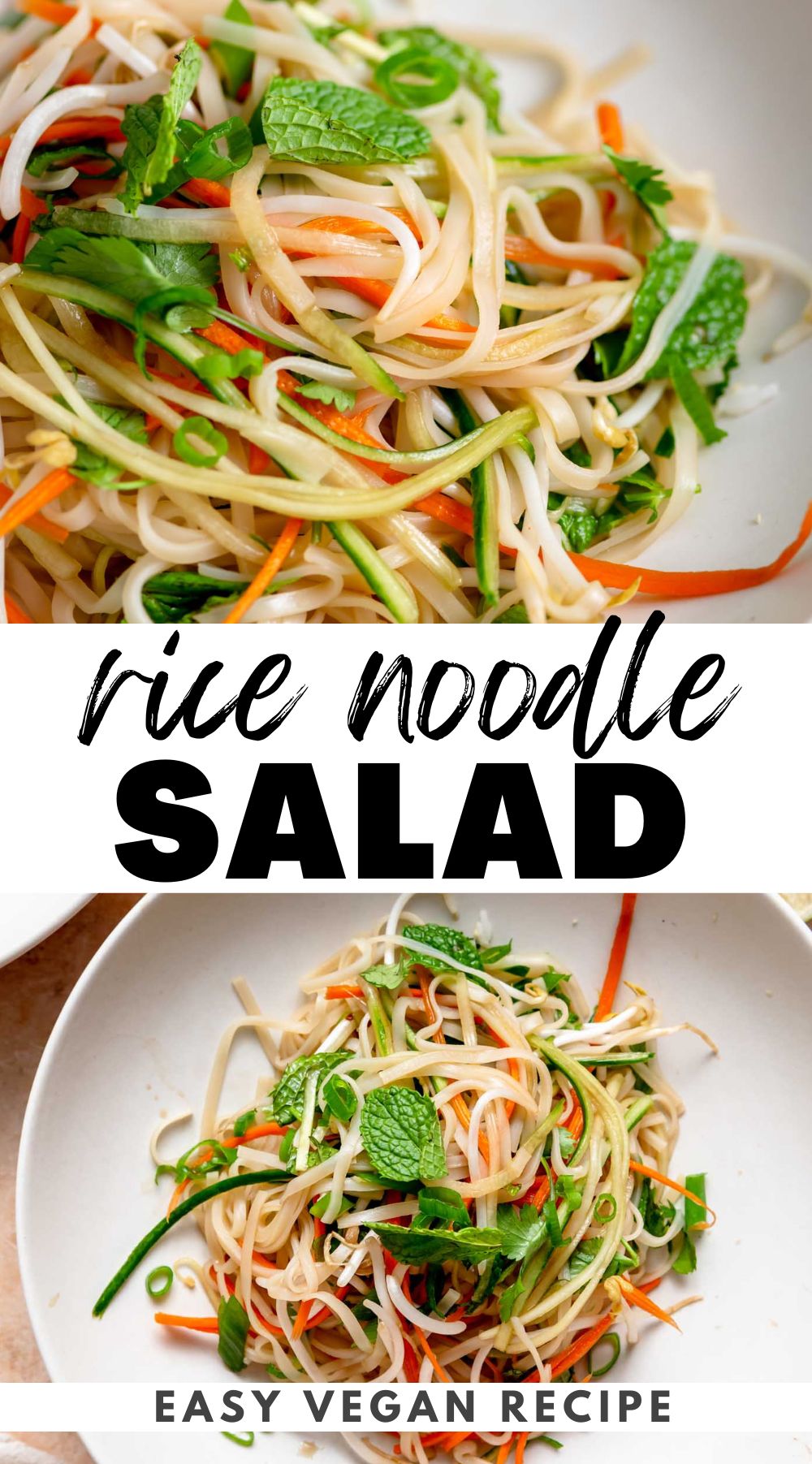 Vietnamese Rice Noodle Salad with Tangy Dressing