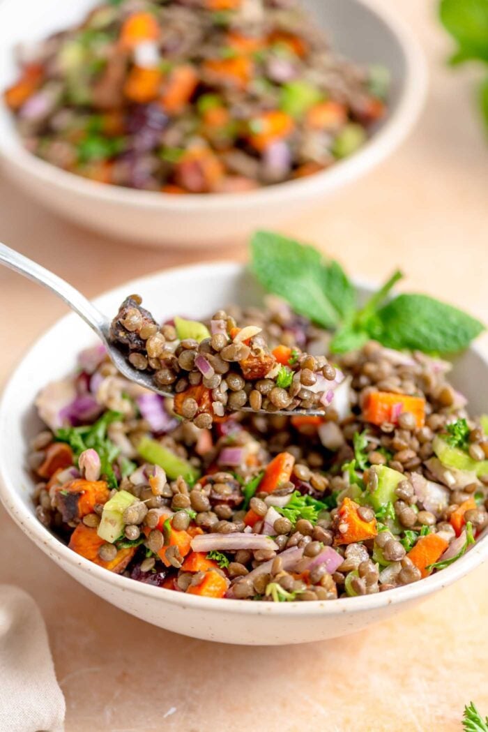 Forkful of french lentil and fresh herb salad held over a bowl of the salad.